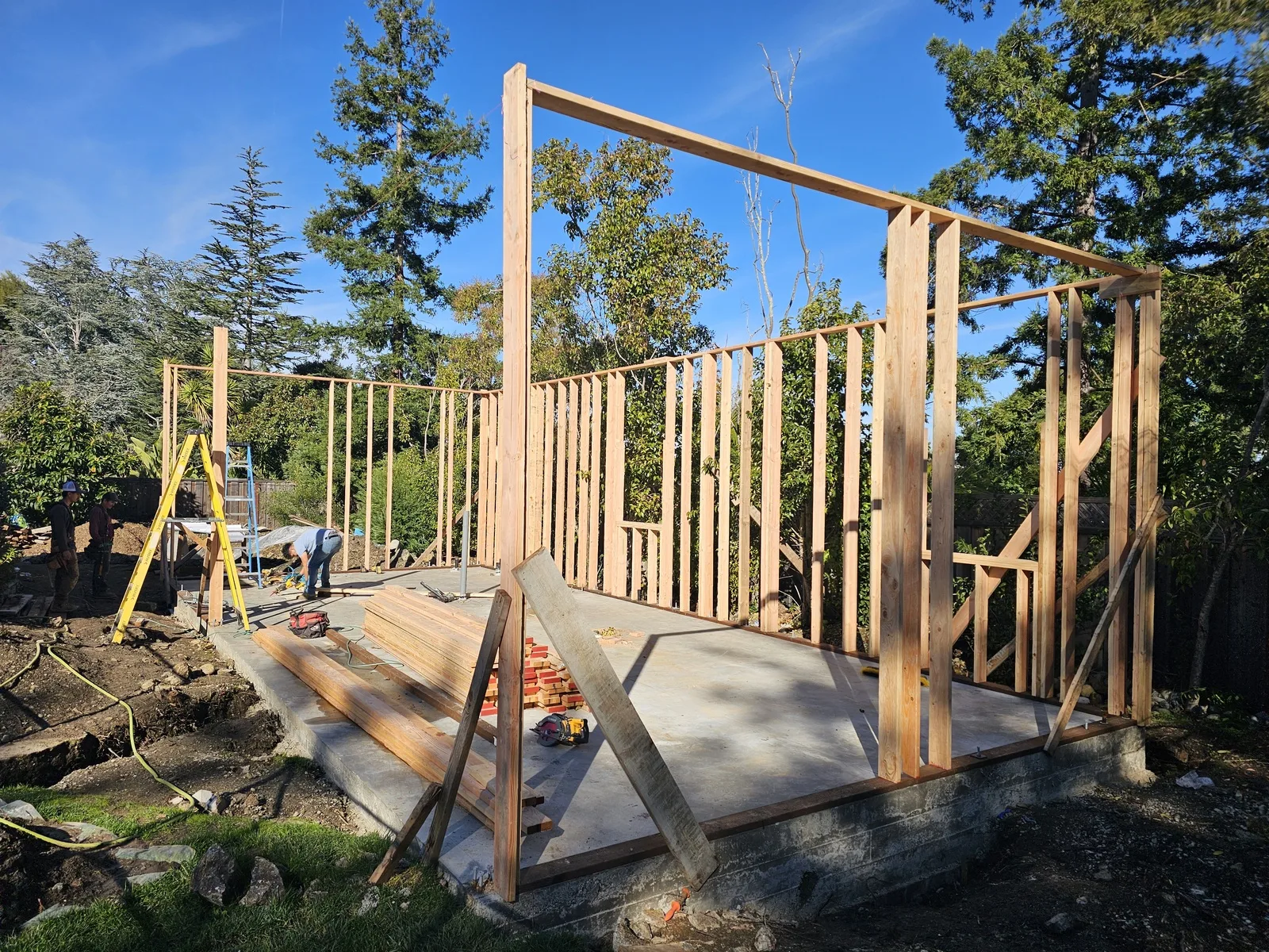 Hillsborough ADU framing against tree line, January 2025